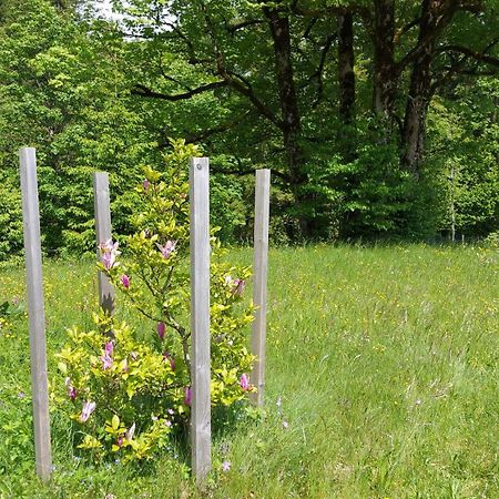 Willa Jaegerhaus Hintersee Zewnętrze zdjęcie