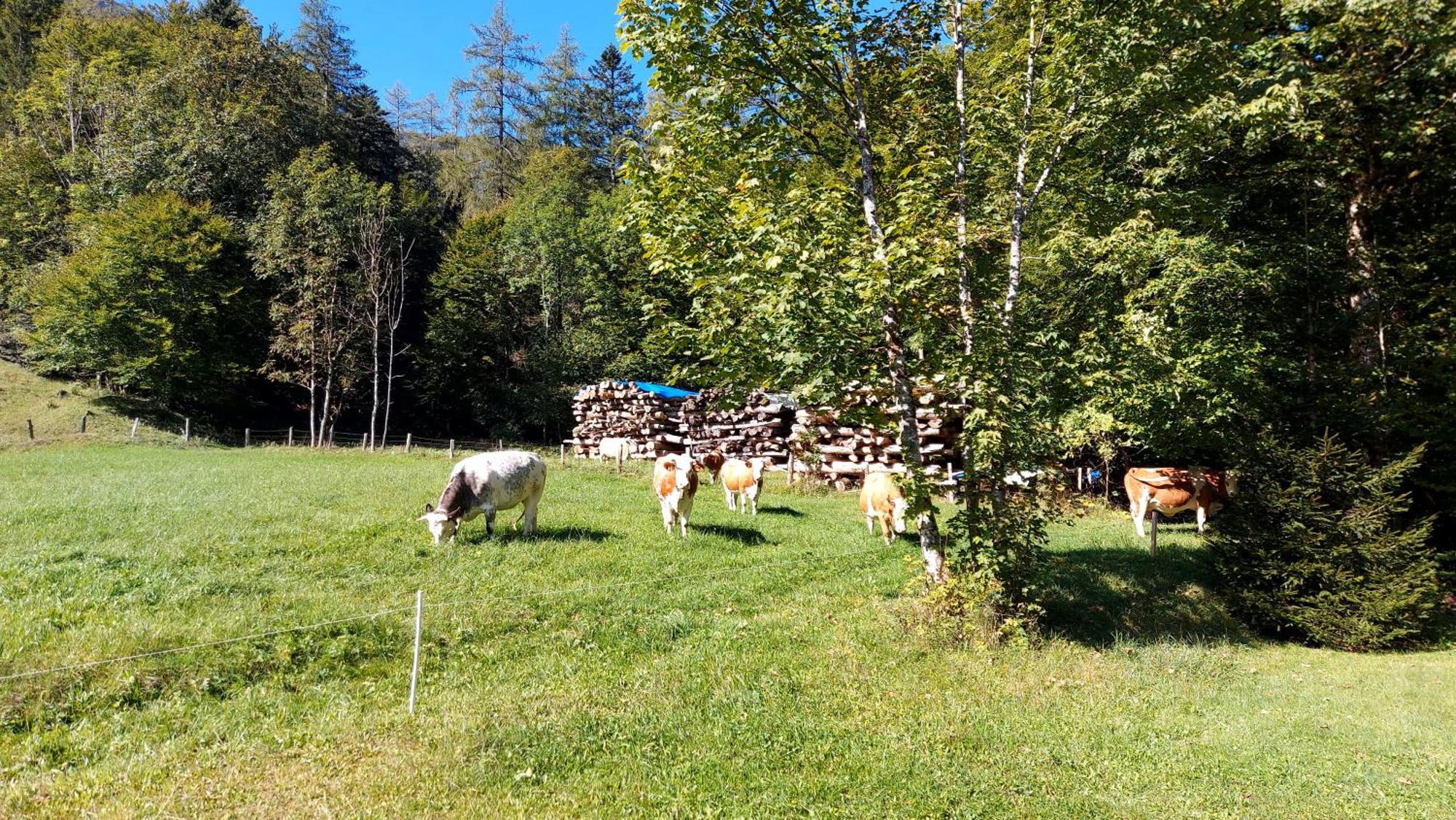 Willa Jaegerhaus Hintersee Zewnętrze zdjęcie